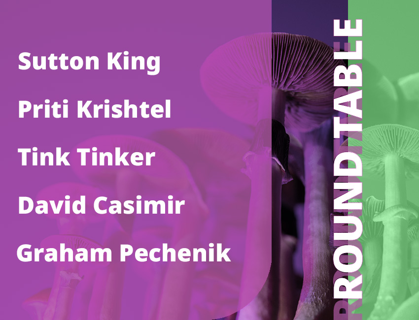 Roundtable discussion with - Sutton King, Priti Krishtel, Tink Tinker, David Casimir, and moderator, Graham Pechenik