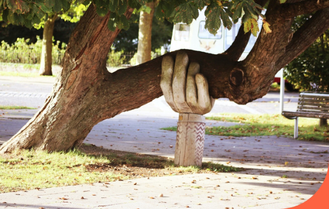 Image of Hand Holding a Tree